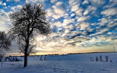 Fotowettbewerb „Winter“