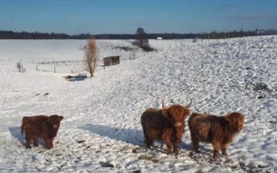 Gewinner Fotowettbewerb „Winter 2021“