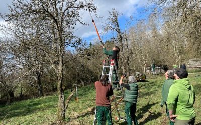 Auf den richtigen Schnitt kommt es an